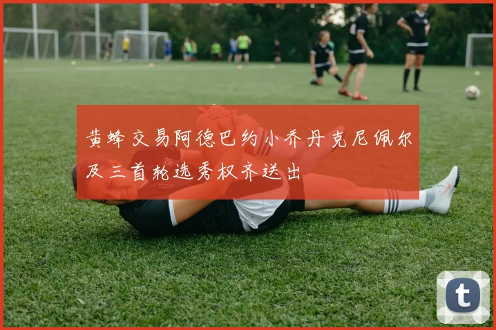 黄蜂交易阿德巴约小乔丹克尼佩尔及三首轮选秀权齐送出