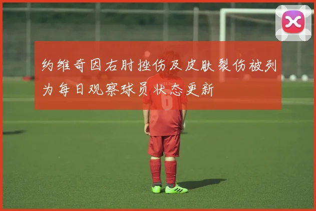 约维奇因右肘挫伤及皮肤裂伤被列为每日观察球员状态更新