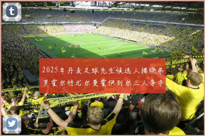 2025年丹麦足球先生候选人揭晓弗罗霍尔特尤尔曼霍伊别尔三人争夺荣耀