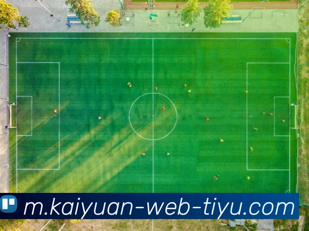 奖项证书